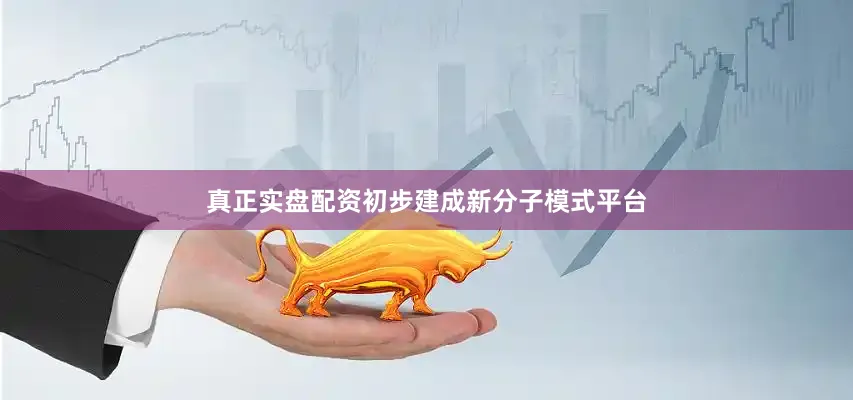 真正实盘配资初步建成新分子模式平台